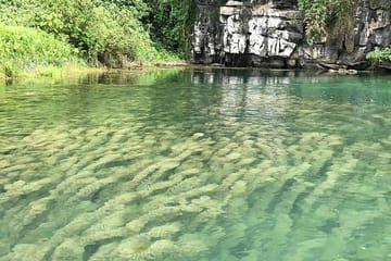 Ninh Binh Day Tour with Boat Trip at Trang An from Hanoi