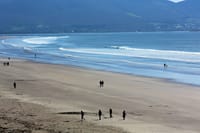 Dingle & Slea Head tour departing Killarney. Kerry. Guided.  9