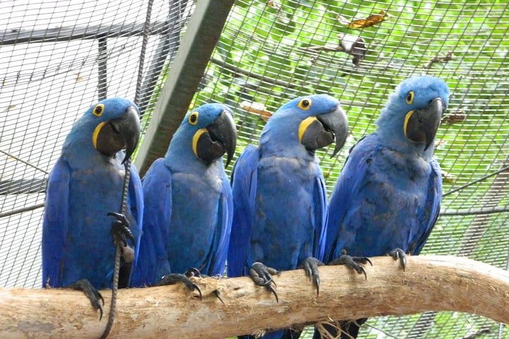 Bird Park