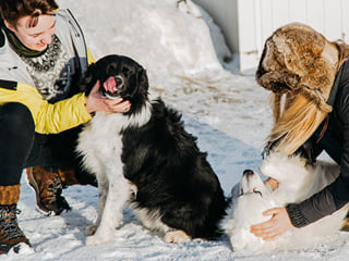 West Iceland | Private Tour, photo 12