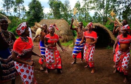 Full-Day Tour of Giraffe Center, Elephant Orphanage, and Dinner in Nairobi