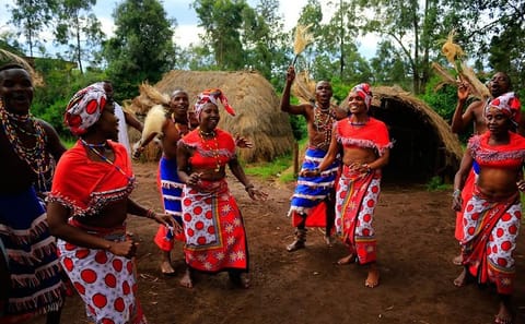 Full-Day Tour of Giraffe Center, Elephant Orphanage, and Dinner in Nairobi