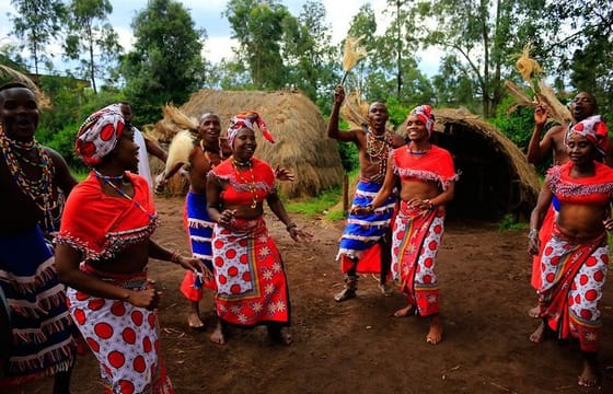 Best Day Giraffe Center, Elephant Orphanage, Bomas of Kenya & Dinner Carnivore