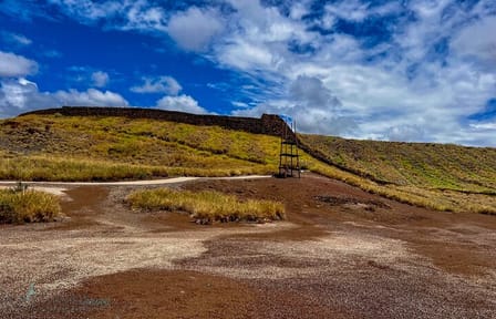 Private Big Island: History & Local Market Tour (Up to 12)