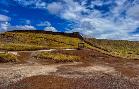 Private Big Island: History & Local Market Tour (Up to 12)