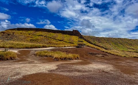 Private Big Island History and Local Market Tour in Waikoloa