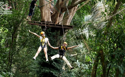 Ziplining Adventure in Phuket's Jungle Canopy