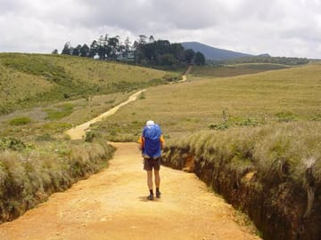 Seven-Day Adventure Tour in Colombo, Sri Lanka