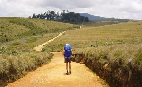 Seven-Day Adventure Tour in Colombo, Sri Lanka
