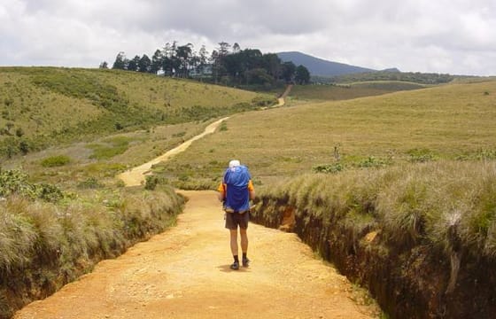 01 Week Tour In Sri Lanka