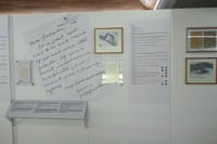 Vibrant Gujarat 10