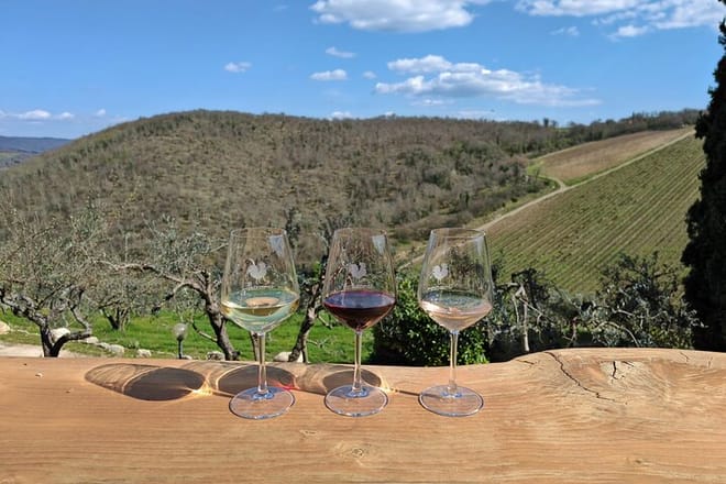 Private Algarve Wine Tour : 2 Wineries, Tastings & Tapas  7