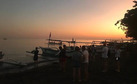 Dolphin Watching and Snorkeling Tour in Buleleng, Indonesia