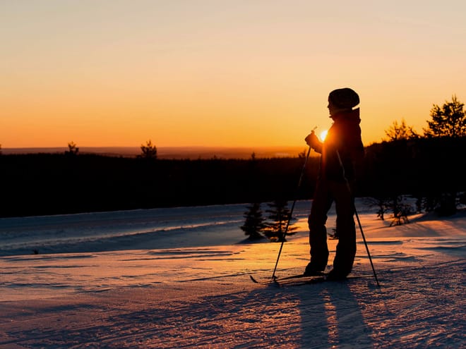 3 Hours Skiing Trip to the Arctic Nature