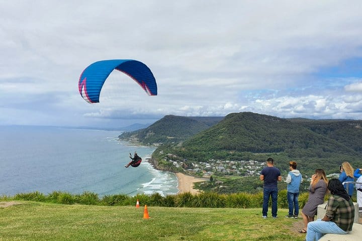 Wildlife, Hyams Whitest Beach and South Coast Private Tour 3