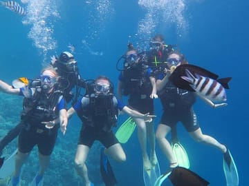 Full-Day Diving Tour in Hurghada with Lunch and Two Sites