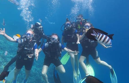 Hurghada: Full-Day Diving Tour with Lunch & Two Dive Sites