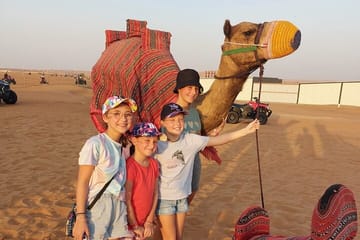 Evening Desert Safari Camel Ride Dinner Live Shows in Abu Dhabi