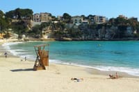 Full-Day Mallorca Caves Tour: Drach, Hams & Pearl Factory Visit 4