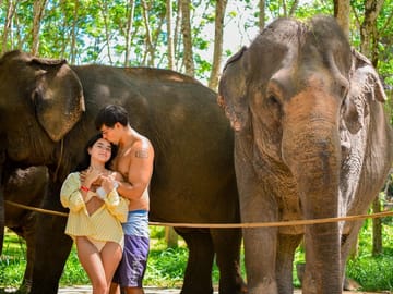 Walking Tour with Elephants at Lily Elephant Camp in Phuket