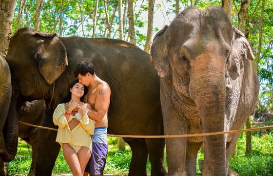 Phuket: Beach Walk with Elephants, Rain & Care