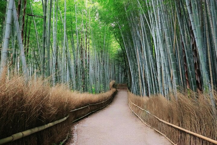Tokyo, Mt. Fuji, Kyoto and Nara 6 Days Private Tour 7