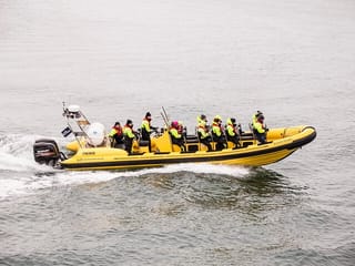 Puffin Tour by RIB Speedboat from Downtown Reykjavik, photo 11