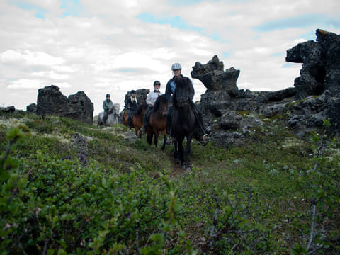 1 hour Riding tour Lake Myvatn area, photo 5