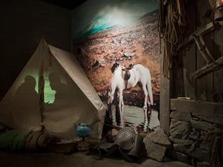 From Antlers to Ancestors: East Iceland's Reindeer and History Tour, photo 7