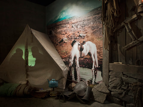 From Antlers to Ancestors: East Iceland's Reindeer and History Tour, photo 7