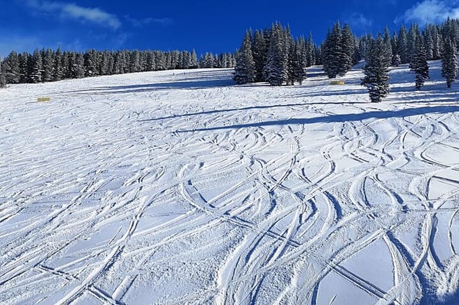 Sunshine Ski Resort Shuttle from Calgary and YYC Airport photo 3