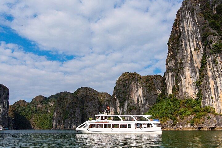 Alova Premium Cruise: Explore Halong Bay's Hidden Gems in a Day