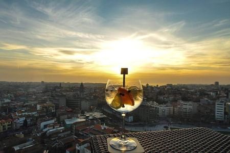 WALKING SUNSET TOUR Port Wine Rooftop