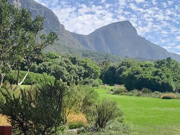Constantia Wine Tasting and Kirstenbosch Garden Tour in Cape Town