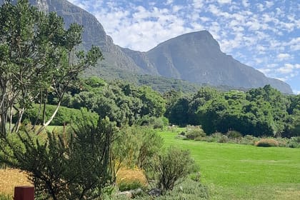 Constantia Private Tour 15 Wine Tasting and Kirstenbosch Garden