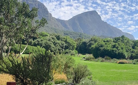 Constantia Wine Tasting and Kirstenbosch Garden Tour in Cape Town
