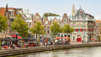 Haarlem in 1 Day - Walking Tour - Audioguide in 7 languages 5
