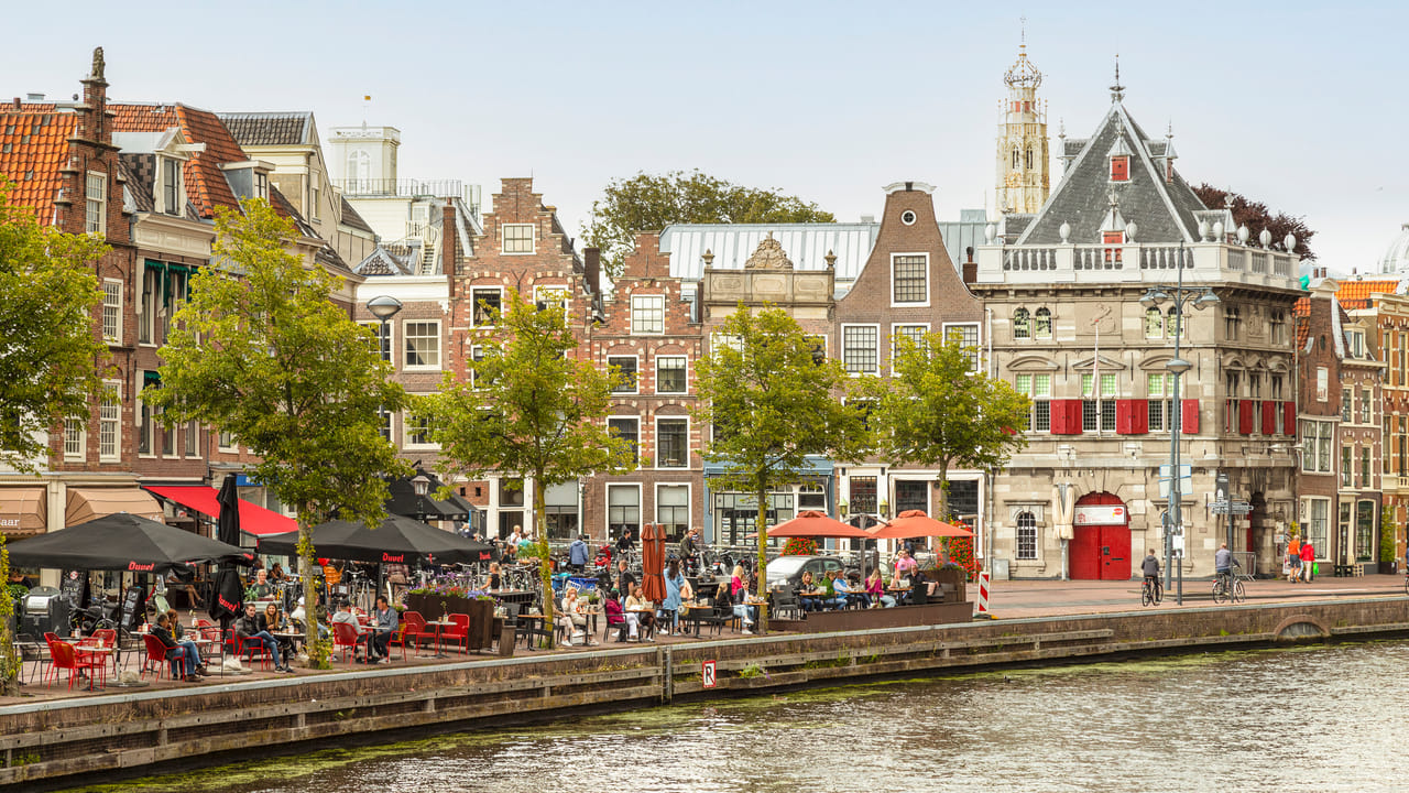 Haarlem in 1 Day - Walking Tour - Audioguide in 7 languages 5