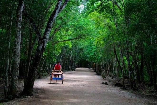 Coba Full-Day Private Tour  9