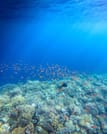 Private Diving in Blue hole and camping in Blue Lagoon 3
