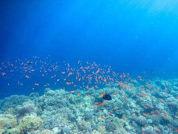 Private Diving Tour at Blue Hole and Camping in Dahab