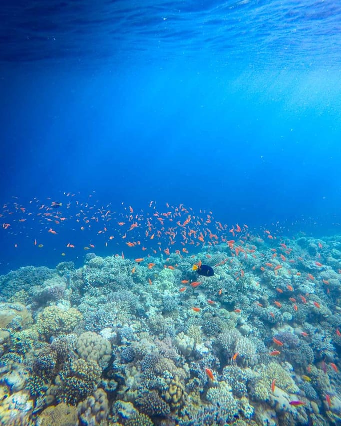 Private Diving in Blue hole and camping in Blue Lagoon 3
