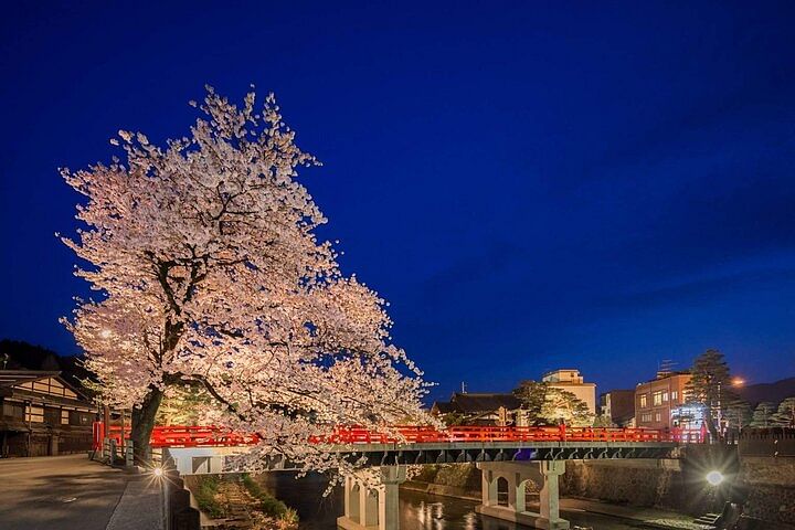 Takayama Night Tour