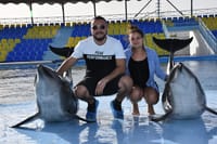 Premium 10 Minutes Dolphin Swimming Experience - Hurghada 8