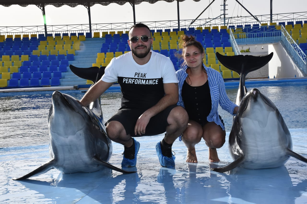 Premium 10 Minutes Dolphin Swimming Experience - Hurghada 8