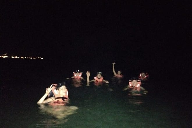 Bioluminescence Tour in Kayak in Holbox Island photo 5