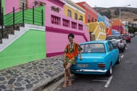 Kirstenbosch Garden, Bo-Kaap,Penguins & Cape of Good Hope Tour 3
