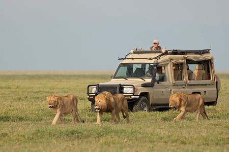 5 Day Kenya Safari to 3 Amazing wildlife and Lake Parks