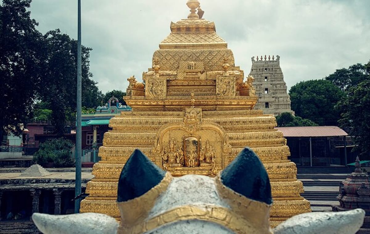 Journey to the Jyotirlinga: Mallikarjuna Temple Day Tour