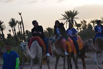 Camel Trekking Tour in the Marrakech Desert Landscape